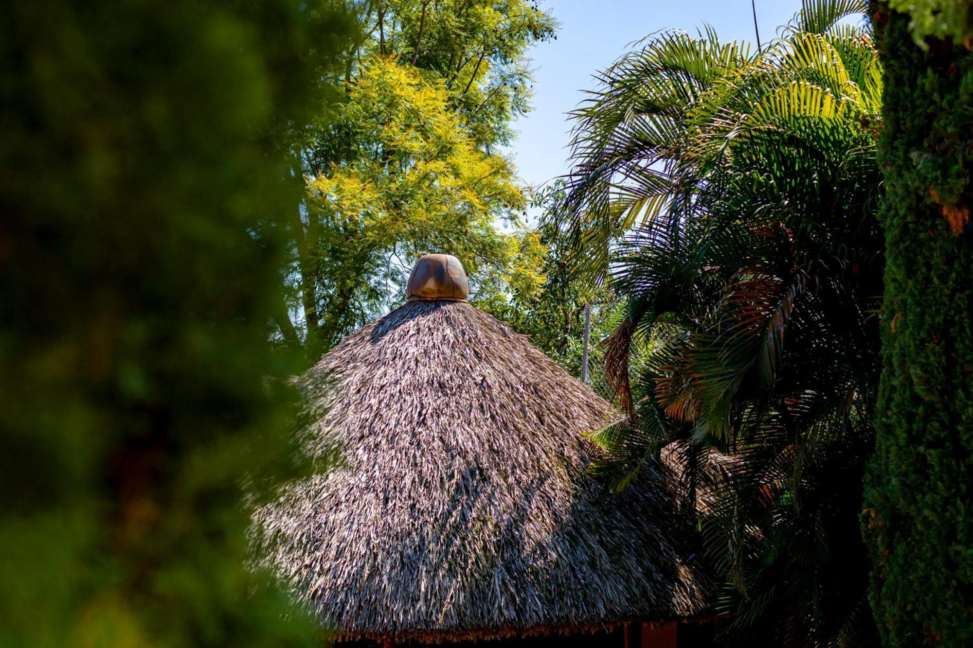 Hotel Casa Yunenisa Oaxaca Екстериор снимка